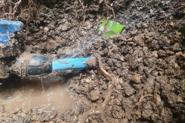 Water Mains Leak Detection Kensington